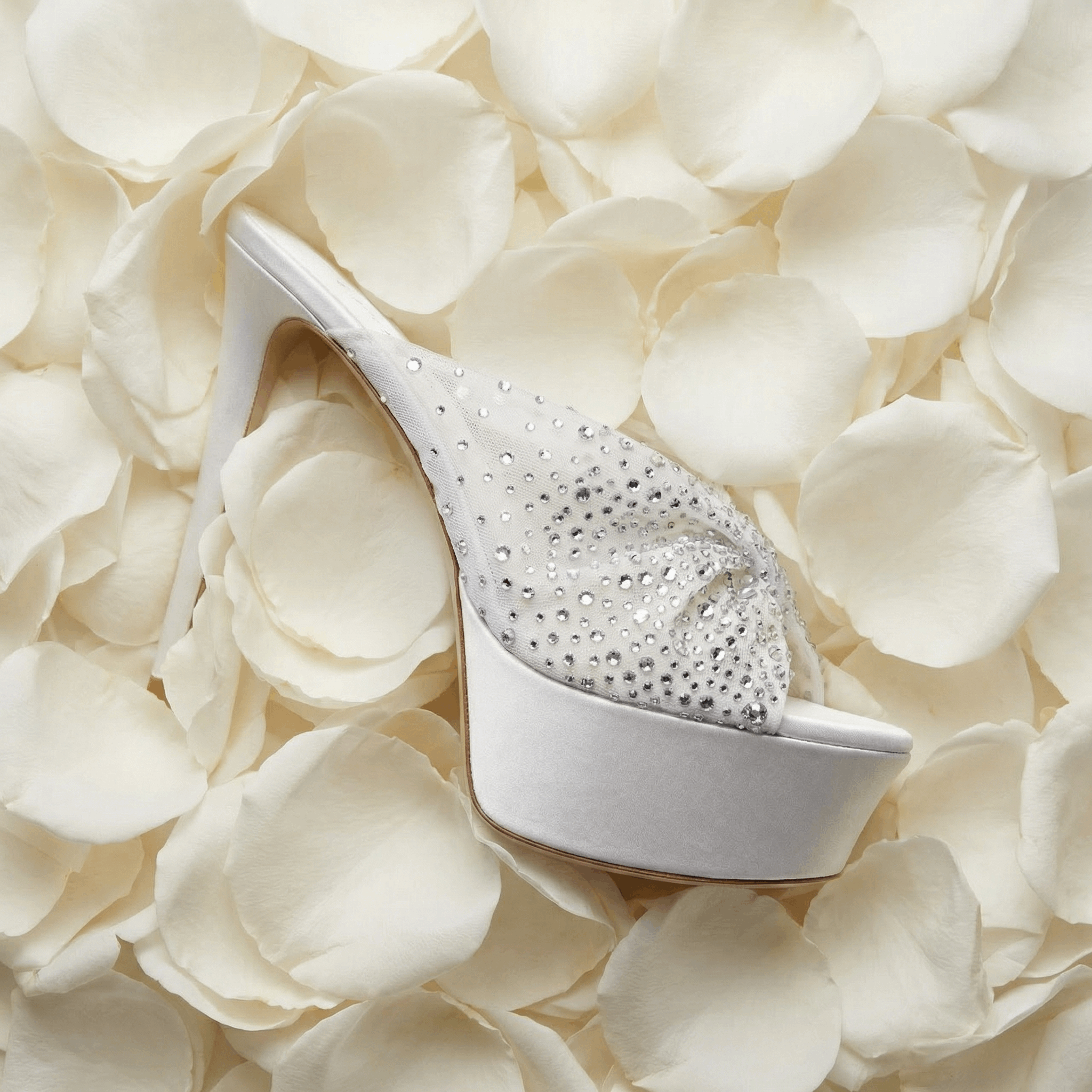 MARIEL MULE PLATFORM