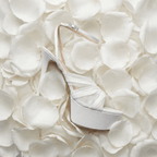 MELODY PLATFORM