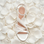MELODY PLATFORM